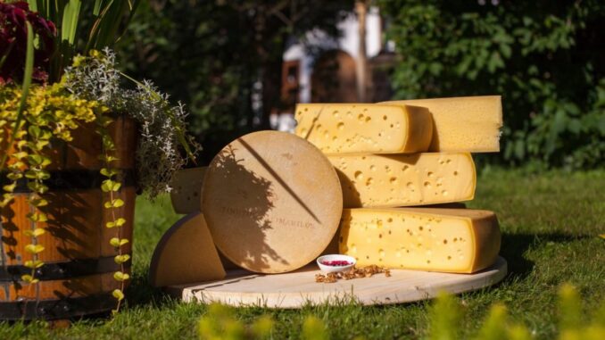 Cașcaval românesc. FOTO Produs în România