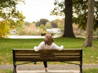 Mai mult verde. FOTO StockSnap