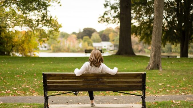 Mai mult verde. FOTO StockSnap