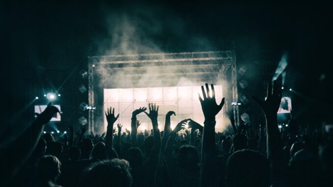 Fanii la concert. FOTO Activedia