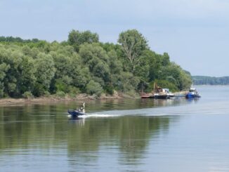 Fluviul Dunărea. FOTO falco