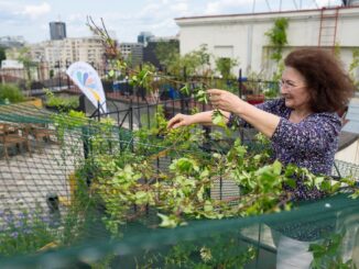 Grădină pe bloc. FOTO În zona ta