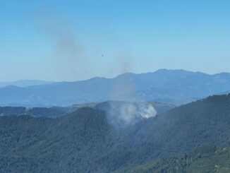 Incendii de pădure. FOTO IGSU