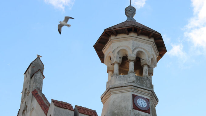 Un pescăruș la Muzeul de Istorie Națională și Arheologie Constanța (MINAC). FOTO Adrian Boioglu