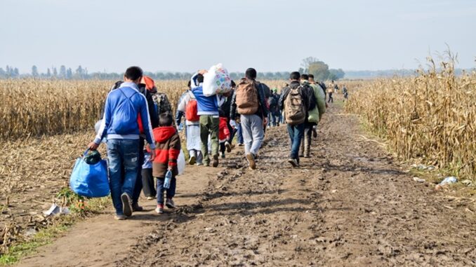 Migranții au fost prinși. FOTO Eurojust