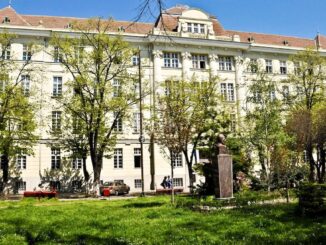 Universitatea de Medicină și Farmacie Victor Babeș din Timișoara. FOTO UMFT