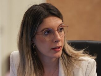 Diana Buzoianu, ministrul Mediului. FOTO DB