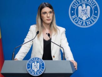 Diana Buzoianu, ministrul Mediului. FOTO DB