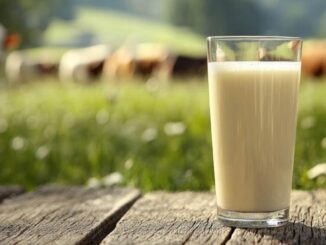 Lactate europene. FOTO EPPO